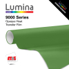 20'' x 25 Yards Lumina® 9000 Semi-Matte Vibrant Green 2 Year Unpunched 3.5 Mil Heat Transfer Vinyl (Color code 247)