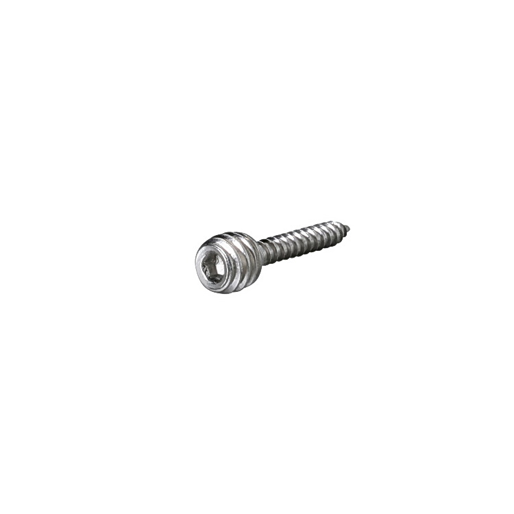 1/4-20 Combination Screw Length: 1'' Full Thread